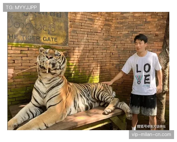 王昶一周豪掷上百万，鞋柜都快溢出来了！