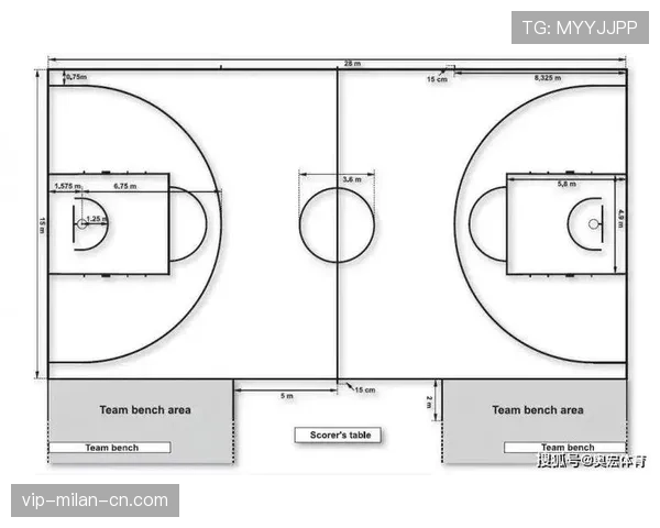详细解析篮球场上边线规则的判定界限与执行